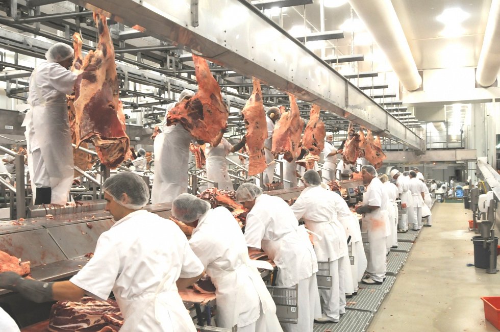 Intervention barfblog