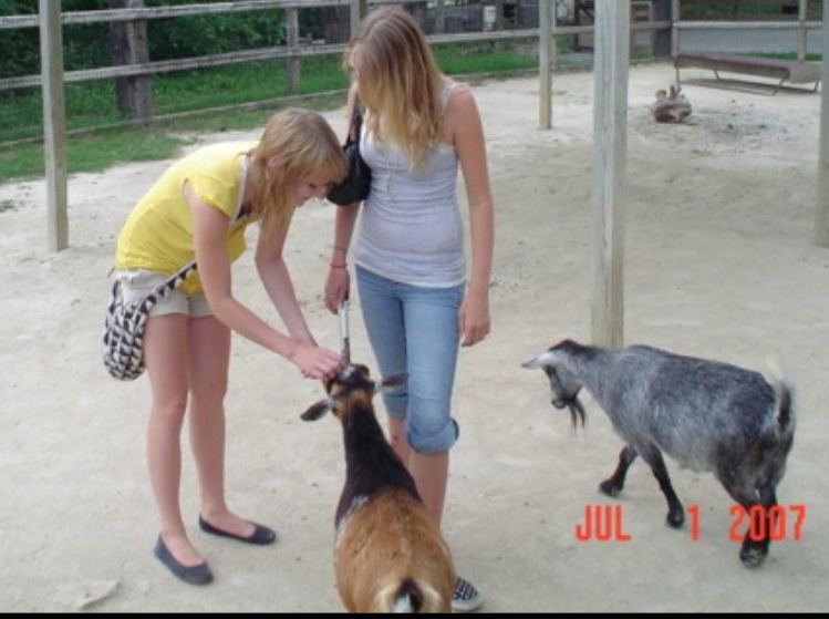 Indiana girl’s E. coli death linked to petting zoo? barfblog