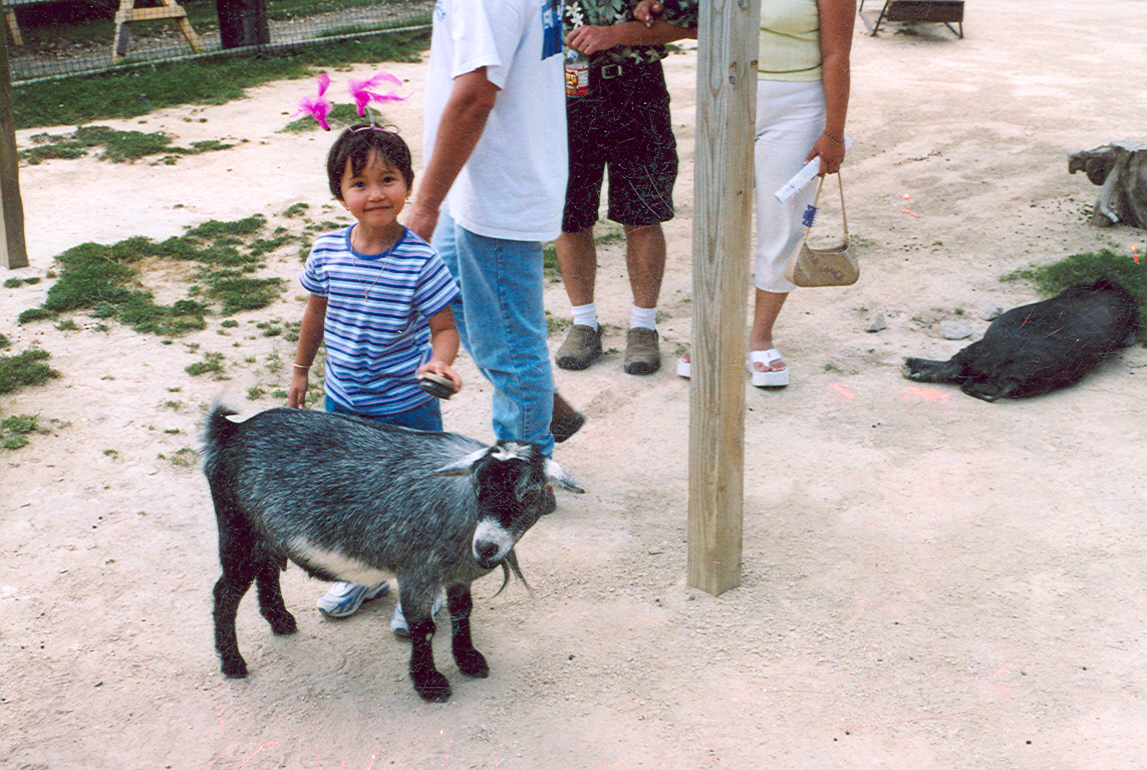 14 now sick with E. coli from UK petting zoo | barfblog