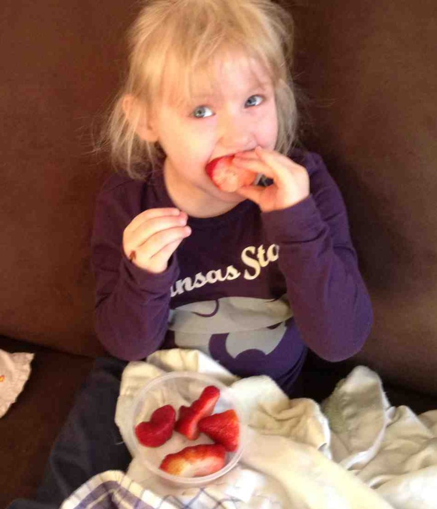 Survival of Escherichia coli on strawberries grown under greenhouse