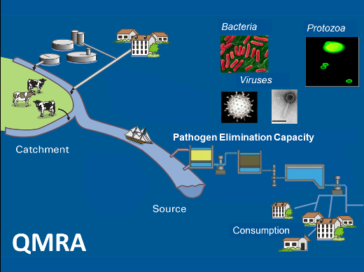 Qmra Examples Taking it further: Quantitative microbiological risk assessment and ...
